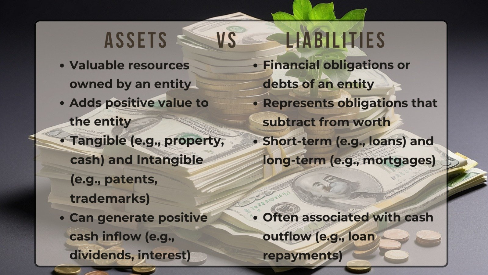 Difference Between Assets and Liabilities